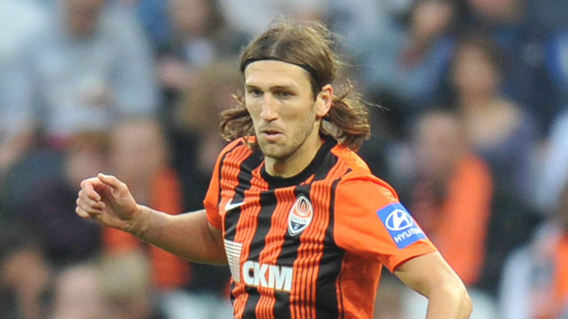 以及多元化 以及多元化