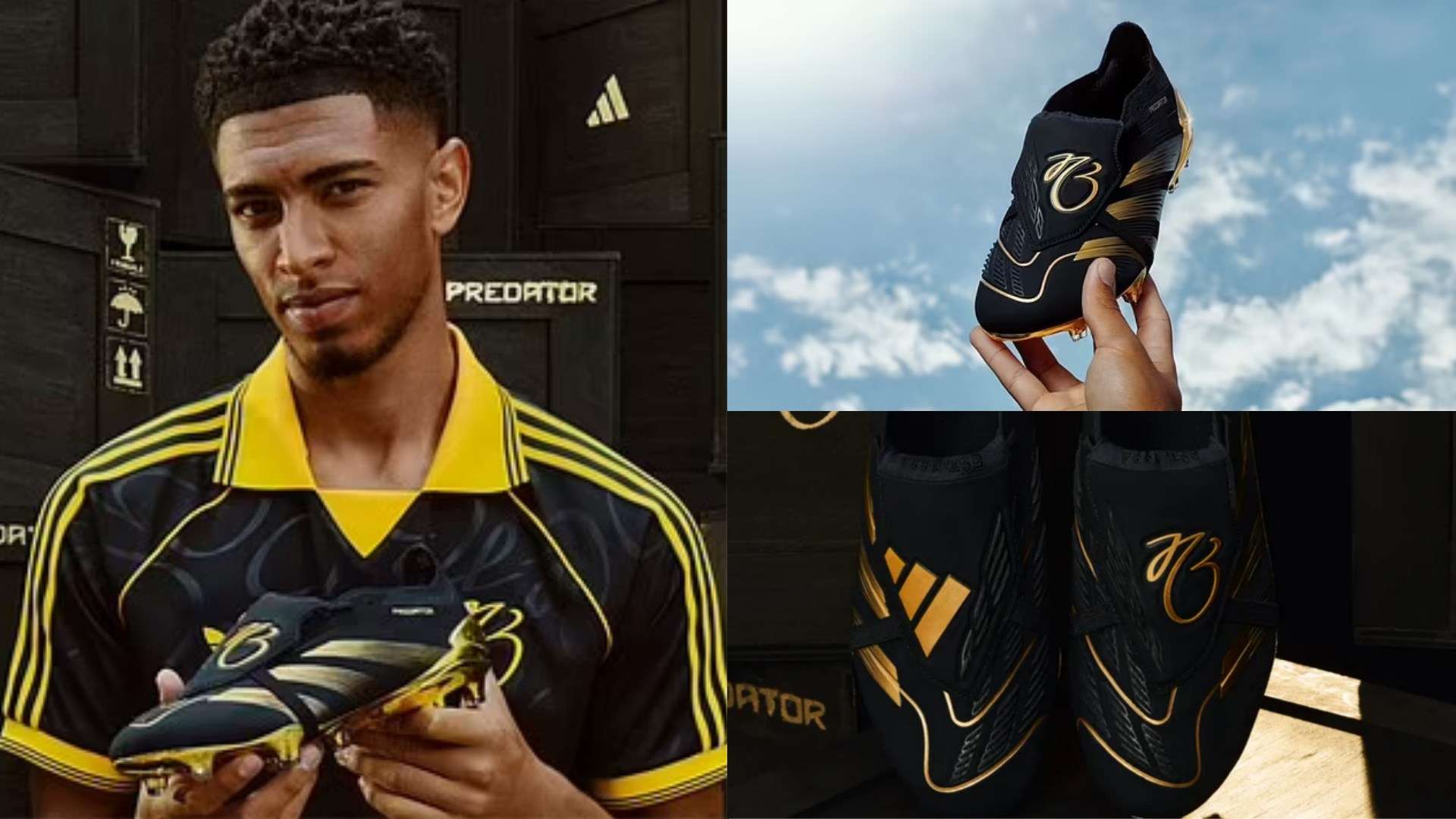 的年轻球员 的年轻球员