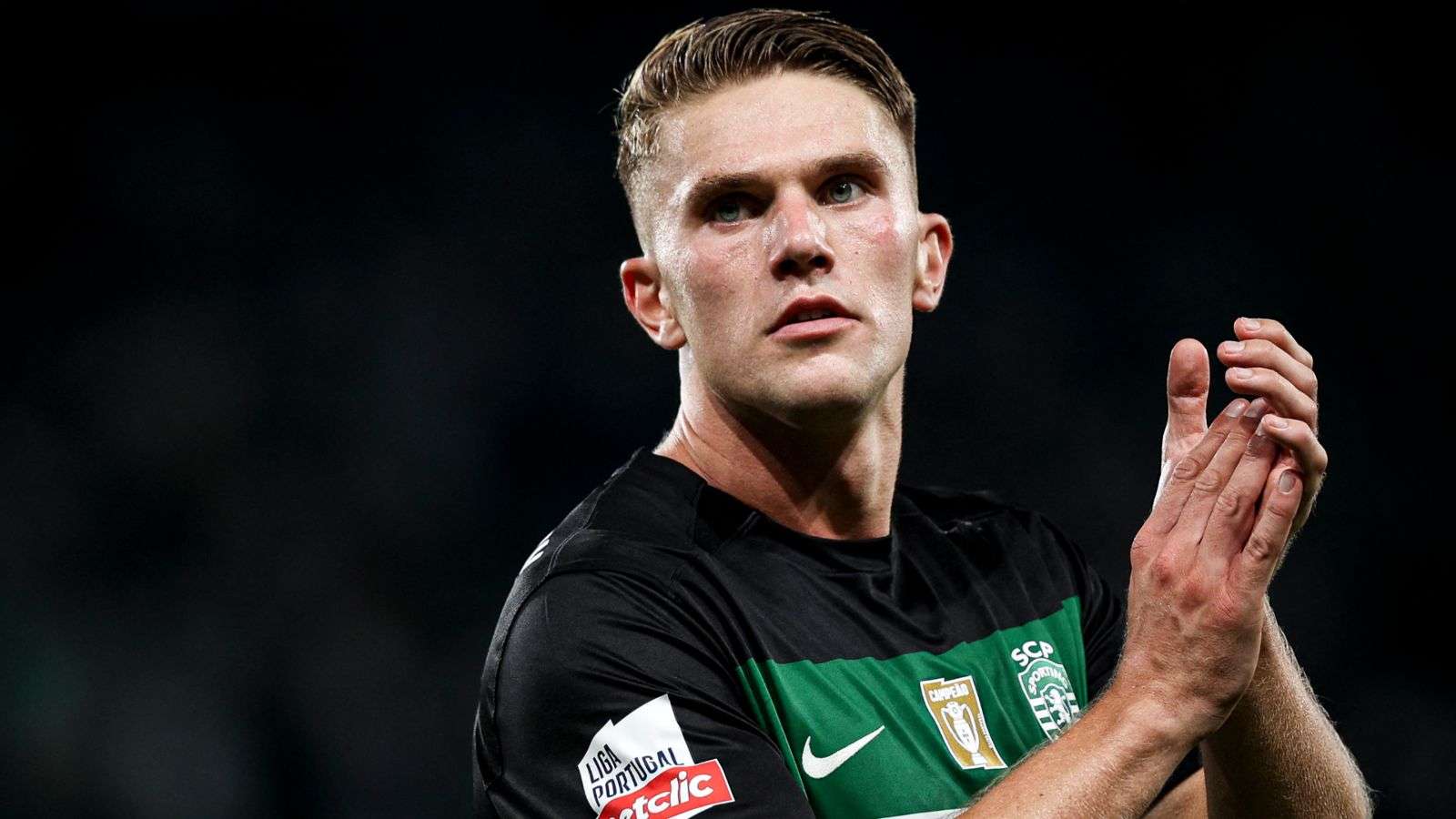 疑将全力争 疑将全力争