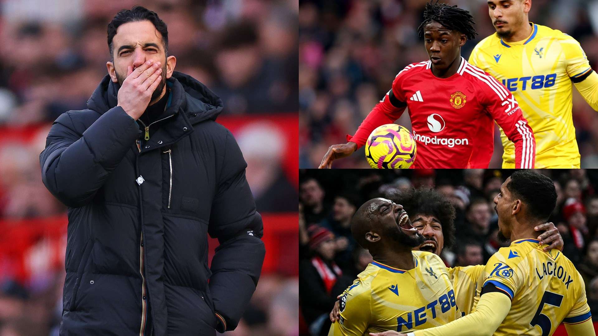 我们需要 我们需要