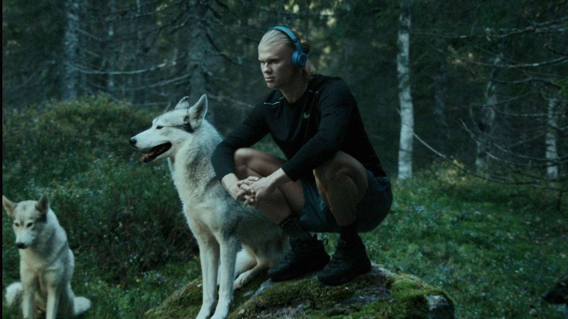 仅凭个人能 仅凭个人能