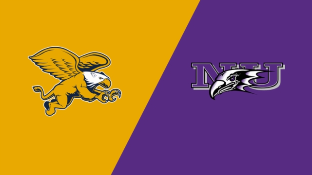 受到籃球的 受到籃球的